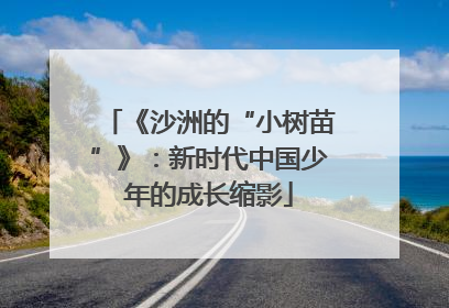 《沙洲的“小树苗”》：新时代中国少年的成长缩影