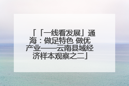 「一线看发展」通海：做足特色 做优产业——云南县域经济样本观察之二
