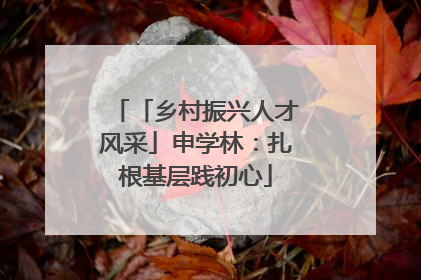 「乡村振兴人才风采」申学林：扎根基层践初心