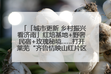 「城市更新 乡村振兴看济南」红培基地+野奢民宿+玫瑰秘境……打开莱芜“齐鲁情映山红片区”的破圈秘籍