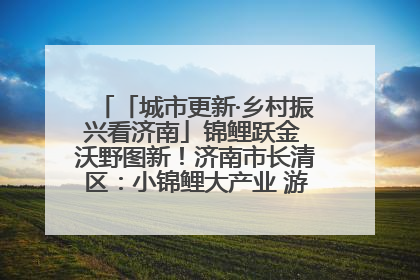 「城市更新·乡村振兴看济南」锦鲤跃金 沃野图新！济南市长清区：小锦鲤大产业 游出农旅新风景