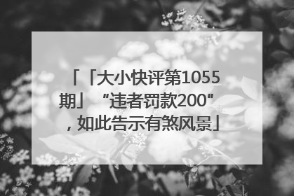 「大小快评第1055期」“违者罚款200”，如此告示有煞风景