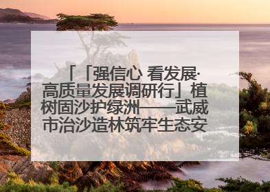 「强信心 看发展·高质量发展调研行」植树固沙护绿洲——武威市治沙造林筑牢生态安全屏障见闻