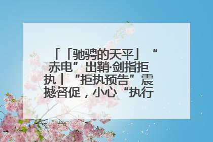 「驰骋的天平」“赤电”出鞘·剑指拒执︱“拒执预告”震撼督促，小心“执行”变“执刑”