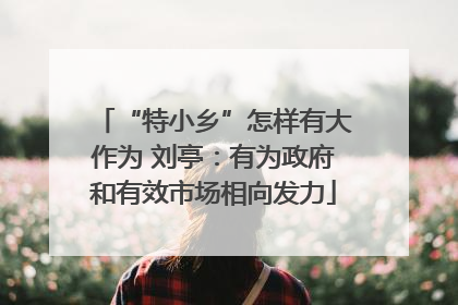 “特小乡”怎样有大作为 刘亭：有为政府和有效市场相向发力