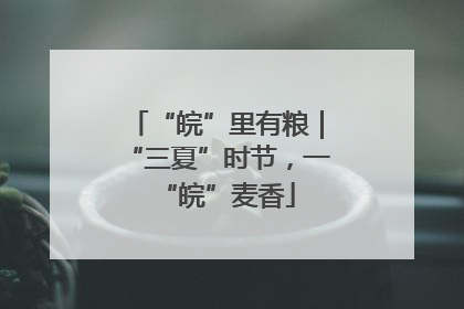 “皖”里有粮｜“三夏”时节，一“皖”麦香
