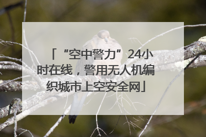 “空中警力”24小时在线，警用无人机编织城市上空安全网