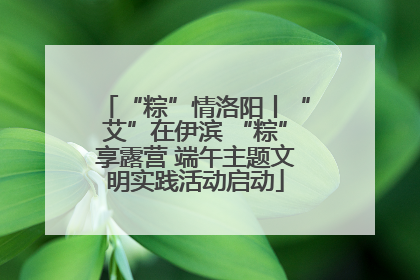 “粽”情洛阳丨“艾”在伊滨 “粽”享露营 端午主题文明实践活动启动