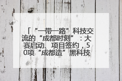 “一带一路”科技交流的“成都时刻”：大赛启动、项目签约，50项“成都造”黑科技吸引多国客商