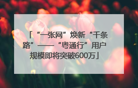 “一张网”焕新“千条路”——“粤通行”用户规模即将突破600万
