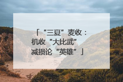 “三夏”麦收：机收“大比武” 减损论“英雄”