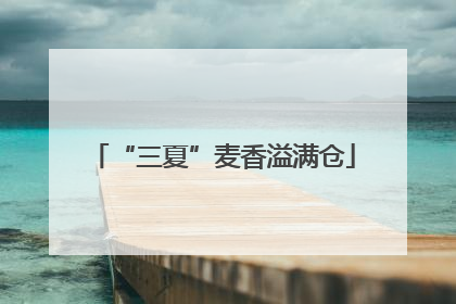“三夏”麦香溢满仓