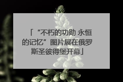 “不朽的功勋 永恒的记忆”图片展在俄罗斯圣彼得堡开幕