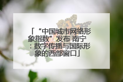 “中国城市网络形象指数”发布 南宁：数字传播与国际形象的西部窗口