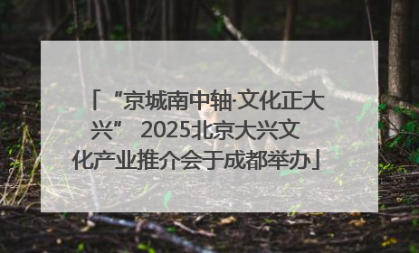 “京城南中轴·文化正大兴” 2025北京大兴文化产业推介会于成都举办