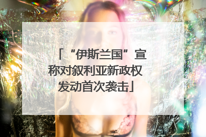 “伊斯兰国”宣称对叙利亚新政权发动首次袭击