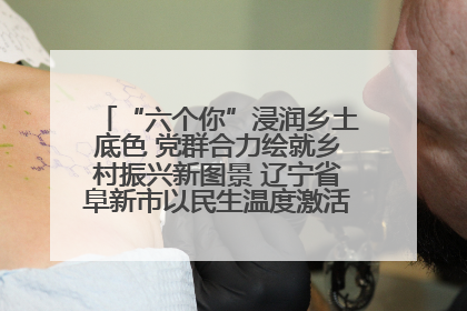 “六个你”浸润乡土底色 党群合力绘就乡村振兴新图景 辽宁省阜新市以民生温度激活乡村善治密码