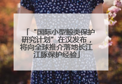 “国际小型鲸类保护研究计划”在汉发布，将向全球推介落地长江江豚保护经验