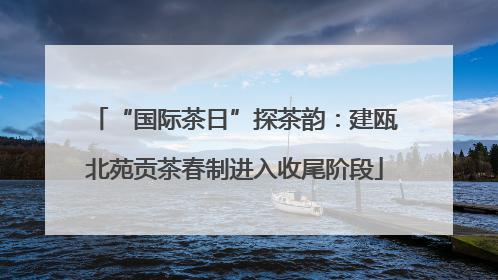 “国际茶日”探茶韵：建瓯北苑贡茶春制进入收尾阶段