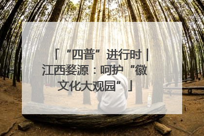 “四普”进行时｜江西婺源：呵护“徽文化大观园”