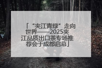 “夹江青绿”走向世界——2025夹江品质出口茶专场推荐会于成都启幕