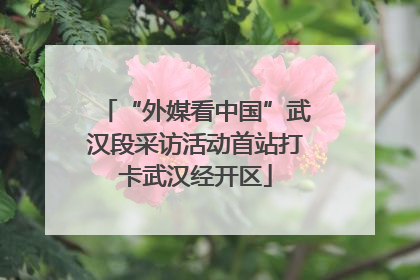 “外媒看中国”武汉段采访活动首站打卡武汉经开区