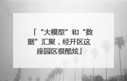 “大模型”和“数据”汇聚，经开区这座园区很酷炫