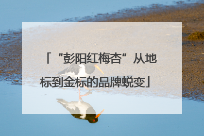 “彭阳红梅杏”从地标到金标的品牌蜕变