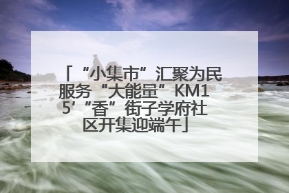 “小集市”汇聚为民服务“大能量”KM15′“香”街子学府社区开集迎端午
