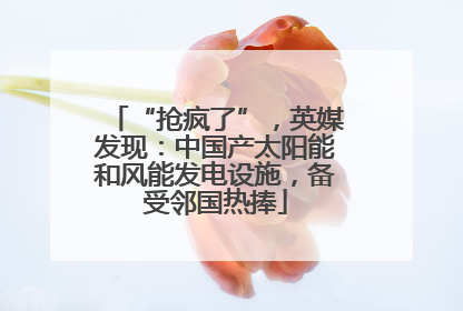 “抢疯了”，英媒发现：中国产太阳能和风能发电设施，备受邻国热捧
