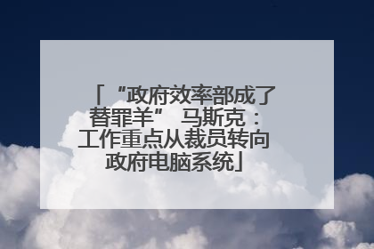 “政府效率部成了替罪羊” 马斯克：工作重点从裁员转向政府电脑系统