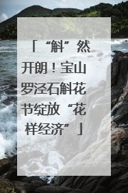 “斛”然开朗！宝山罗泾石斛花节绽放“花样经济”