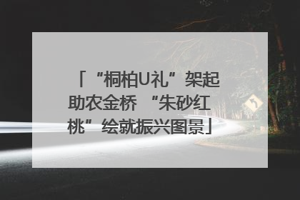 “桐柏U礼”架起助农金桥 “朱砂红桃”绘就振兴图景
