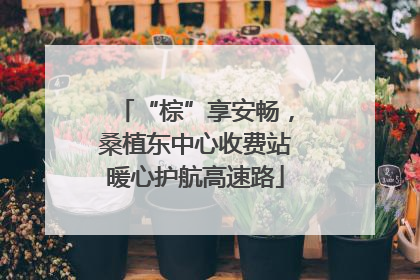 “棕”享安畅，桑植东中心收费站暖心护航高速路