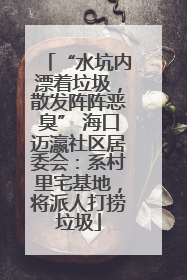 “水坑内漂着垃圾，散发阵阵恶臭” 海口迈瀛社区居委会：系村里宅基地，将派人打捞垃圾