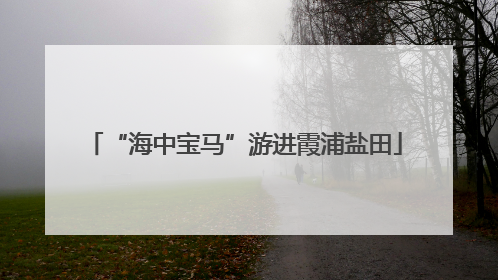 “海中宝马”游进霞浦盐田