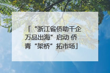 “浙江省侨助千企万品出海”启动 侨青“架桥”拓市场