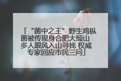 “菌中之王”野生鸡枞菌被传现身合肥大蜀山 多人跟风入山寻找 权威专家回应市民三问