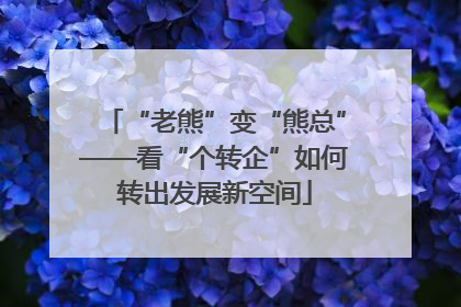 “老熊”变“熊总”——看“个转企”如何转出发展新空间
