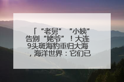 “老舅”“小姨”告别“姥爷”！大连9头斑海豹重归大海，海洋世界：它们已具备野外生存能力
