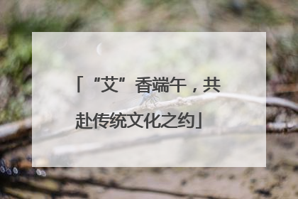 “艾”香端午，共赴传统文化之约