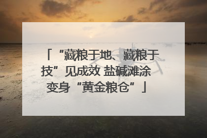 “藏粮于地、藏粮于技”见成效 盐碱滩涂变身“黄金粮仓”