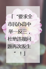 “要求全市民办高中举一反三，杜绝违规问题再次发生”！