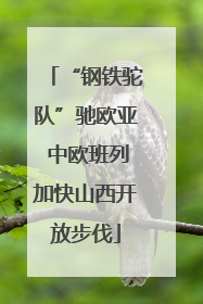 “钢铁驼队”驰欧亚 中欧班列加快山西开放步伐