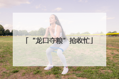 “龙口夺粮”抢收忙