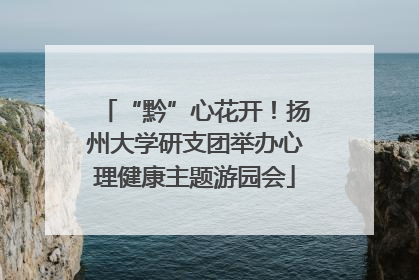 “黔”心花开！扬州大学研支团举办心理健康主题游园会