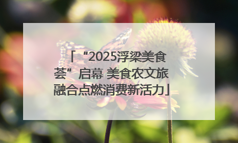 “2025浮梁美食荟”启幕 美食农文旅融合点燃消费新活力