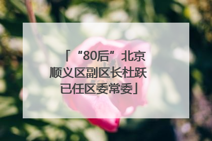 “80后”北京顺义区副区长杜跃已任区委常委