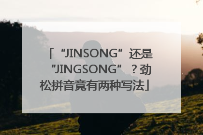 “JINSONG”还是“JINGSONG”？劲松拼音竟有两种写法
