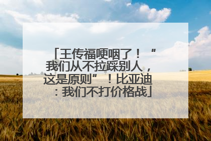 王传福哽咽了！“我们从不拉踩别人，这是原则”！比亚迪：我们不打价格战